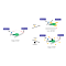 TR-FRET PARP2 Trapping Assay Kit